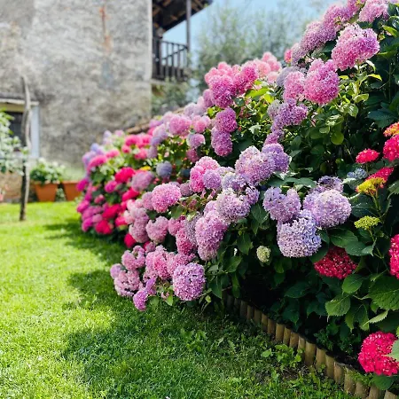 Casa Bandel Tatil Evi Komen